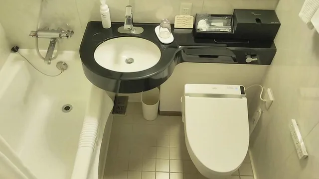 Plus, Standard, Double Bed, with Extra Bed، Hotel Metropolitan Nagano 5/6