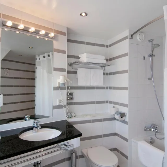 غرفة مفردة، HOLIDAY INN VIENNA CITY 2/13