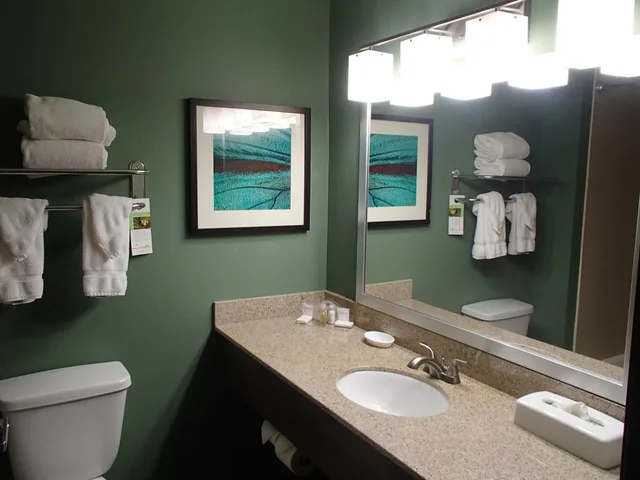 غرفة ديلوكس بسريرين كوين لذوي الإعاقة، Wingate By Wyndham Bossier City LA 4/6
