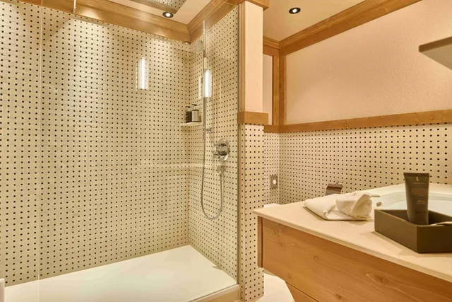 Elegant, Alpine, Deluxe, Double Bed، EUROTEL VICTORIA LES DIABLERETS 4/4