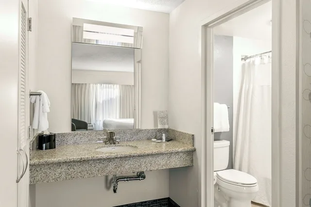جناح سوبيريور بسرير كينج بغرفة نوم واحدة مع أريكة، Sonesta Select Greenbelt College Park 4/4