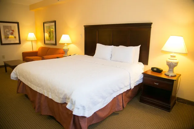 غرفة بسرير كينج، Hampton Inn Alpharetta Roswell Ga 5/8