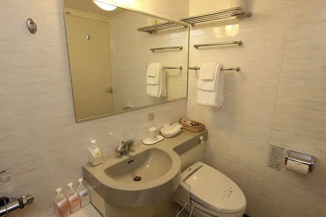 غرفة مفردة بسرير مزدوج، Mielparque Kumamoto Hotel 4/4
