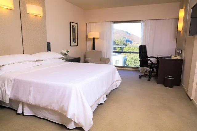 غرفة كلوب بسرير مزدوج بإطلالة على المدينة، SHERATON SALTA HOTEL 6/10