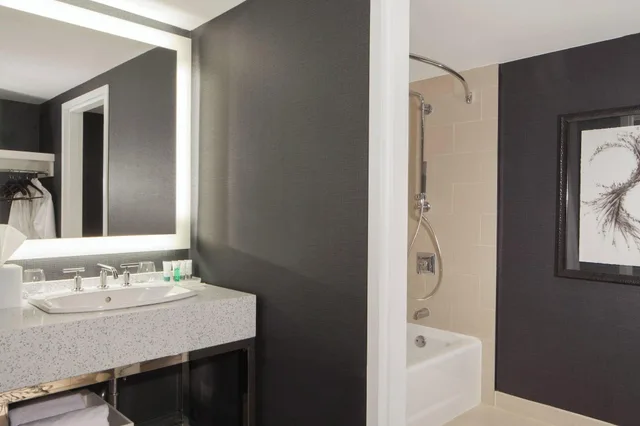 Swim, King Bed، The Westin Princeton at Forrestal Village 3/4