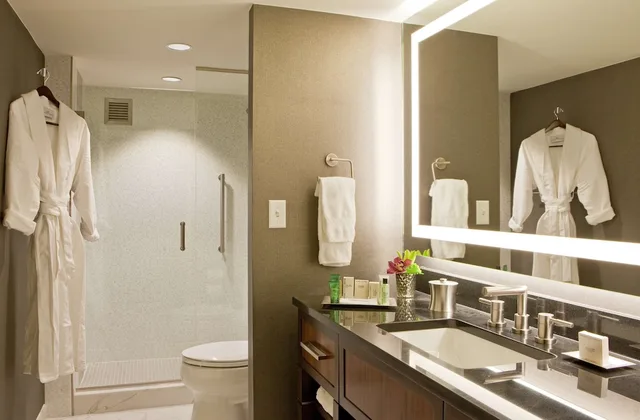 جناح تنفيذي تنفيذي بسرير كينج بإطلالة على المتنزه مع دخول الصالة، HILTON NASHVILLE-DOWNTOWN 4/4