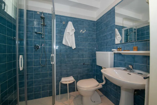Deluxe, Double Bed, Sea Front، Hotel Delle Mimose 6/7