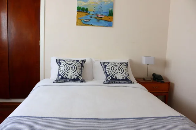 غرفة قياسية بسرير مزدوج، Hotel San Martin 1/10