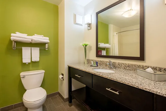غرفة قياسية بسرير كينج، Sleep Inn & Suites Harbour Pointe VA 4/4