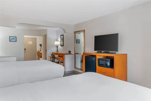جناح بسريرين كوين، Comfort Suites Auburn Hills-Detroit 1/3