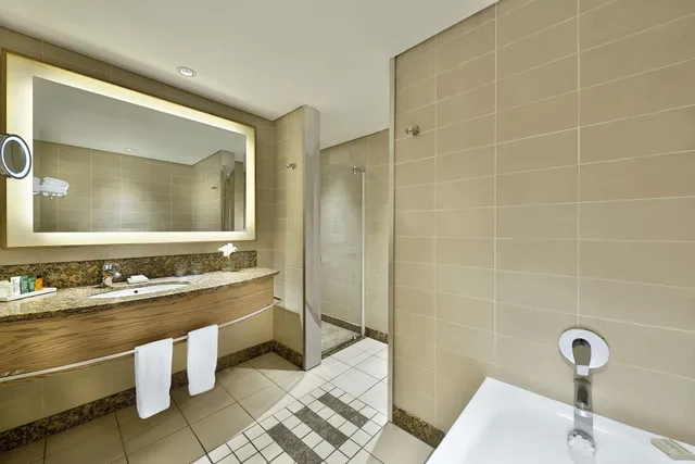 غرفة ديلوكس بسرير كينج مع أريكة، Hilton Durban 3/3