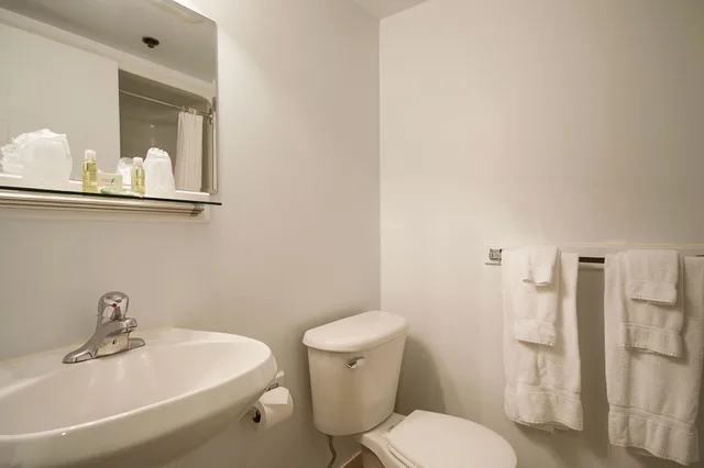 غرفة قياسية بسرير كوين، Les Suites Labelle 9/10