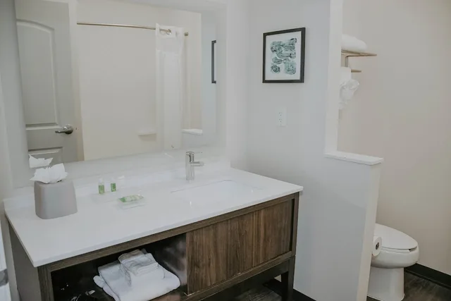 غرفة قياسية بسريرين كينج لذوي الإعاقة، Holiday Inn Omaha Downtown-Airport 3/3