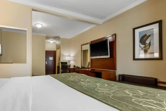 جناح، Comfort Suites Corpus Christi Central 2/10