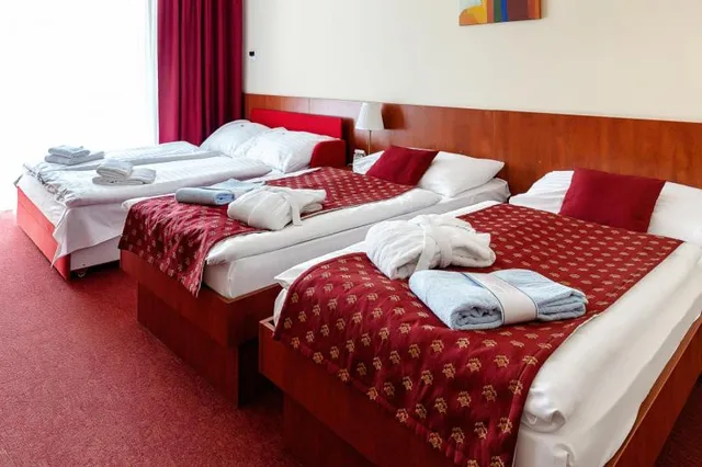 غرفة بسرير مزدوج أو سريرين منفصلين مع سرير إضافي، Hotel Senec Lake Resort 2/5
