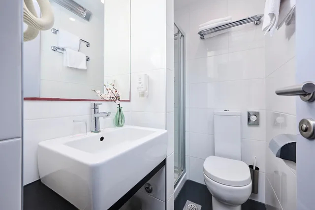 Economy, French Bed, Park Side، Hotel Plavi Plava Laguna 3/3