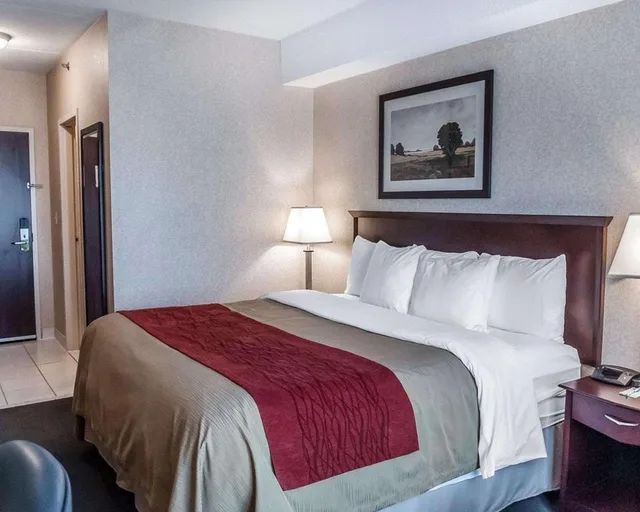 Upgrade, Efficiency, King Bed, Comfort Inn Mississauga 2/6