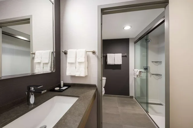 غرفة ديلوكس بسرير كينج مع أريكة، Sonesta Select San Jose Airport 4/4