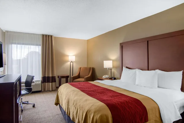 غرفة بسرير مزدوج، Comfort Inn Chester - Richmond South 1/3