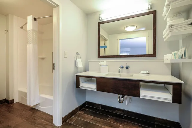 Studio, Suite, King Bed, Sofa, Hampton Inn Brighton Mi 5/7