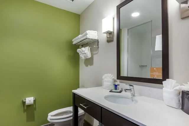 جناح بسرير كينج مع أريكة، Sleep Inn & Suites Tampa South 5/5