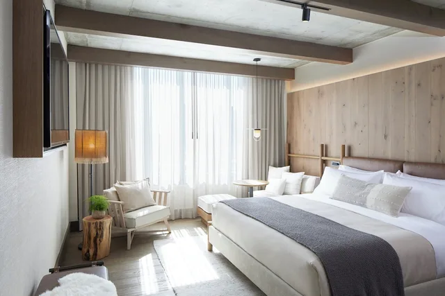 Skyline, King Bed، 1 Hotel Nashville 3/6