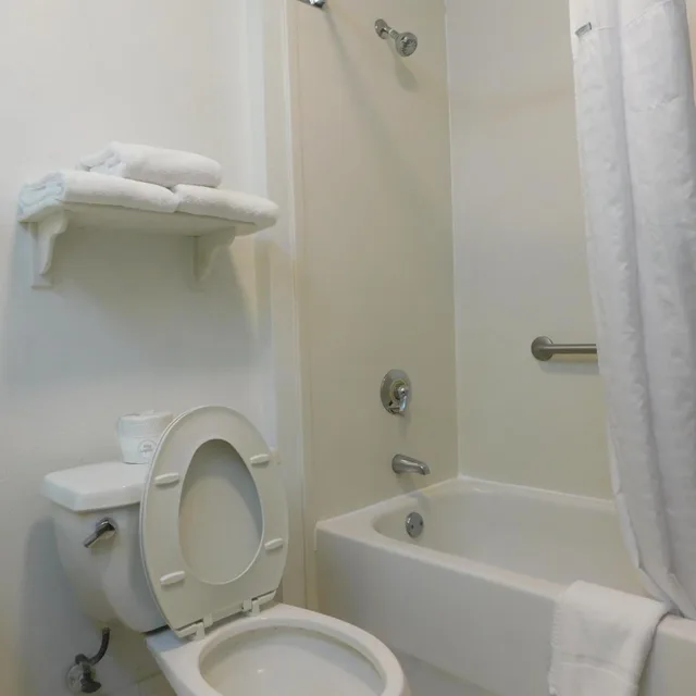 غرفة سوبيريور بسرير كوين بحوض استحمام لذوي الإعاقة، La Quinta Inn Suites Winston Salem 4/4