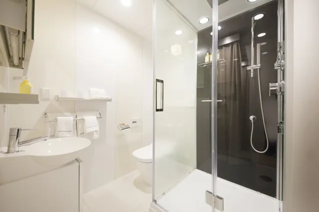 Standard Queen 2 Adults، Centurion Hotel Residential Akasaka Station 5/5