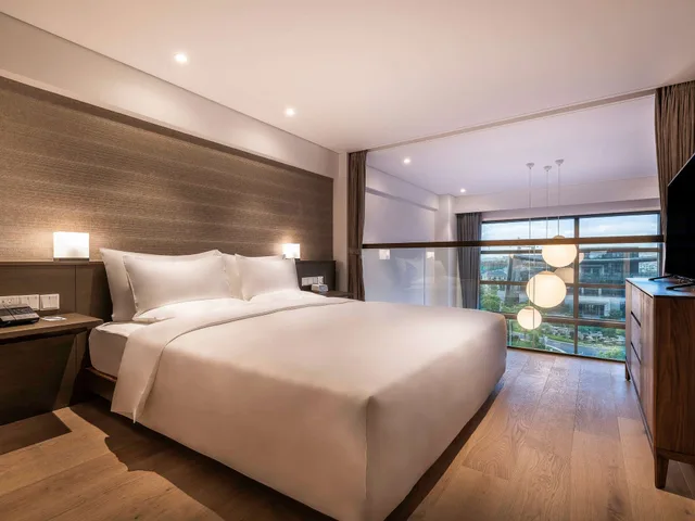جناح دوبلكس ديلوكس بسرير كينج، Novotel Suites Shanghai Hongqiao 2/5