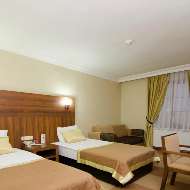غرفة قياسية بسرير مزدوج، Grand Gebze Hotel 2/4