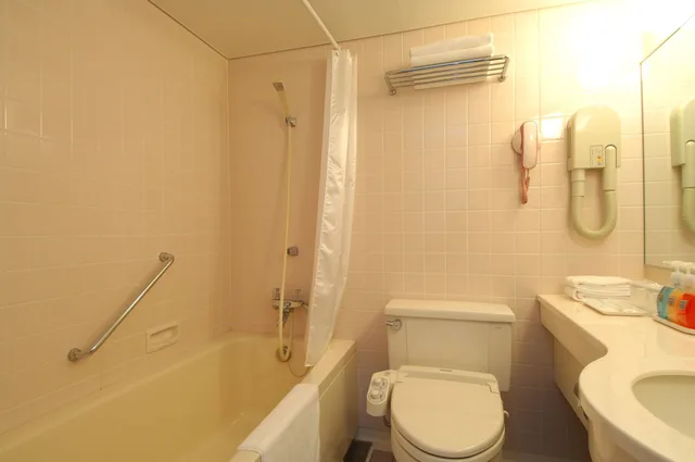 غرفة بسريرين منفصلين، Matsumoto Wellton Hotel 5/6