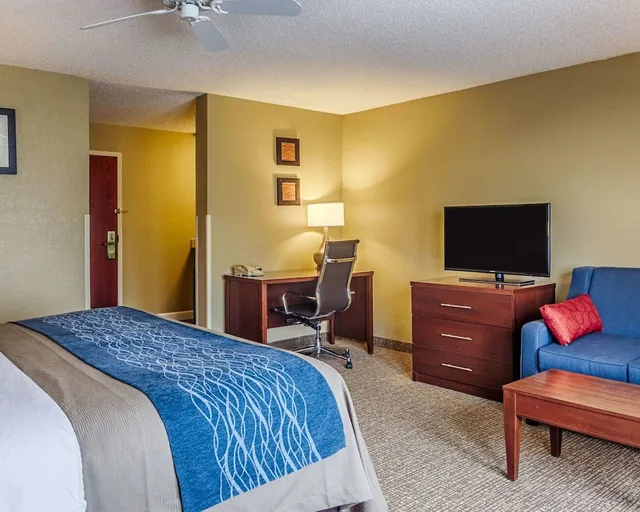 جناح بسرير كينج مع أريكة، Comfort Inn and Suites Grafton Cedarburg 3/3