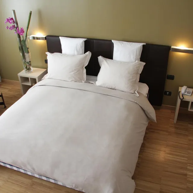 غرفة تنفيذية بسرير مزدوج أو سريرين منفصلين، Euro Hotel Residence 5/7