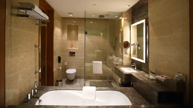 جناح بغرفة نوم واحدة، Holiday Inn New Delhi Mayur Vihar Noida 1/1