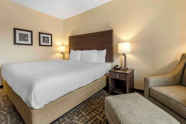 غرفة قياسية بسرير كينج، Comfort Inn and Suites Pittsburgh Northshore, PA 1/3