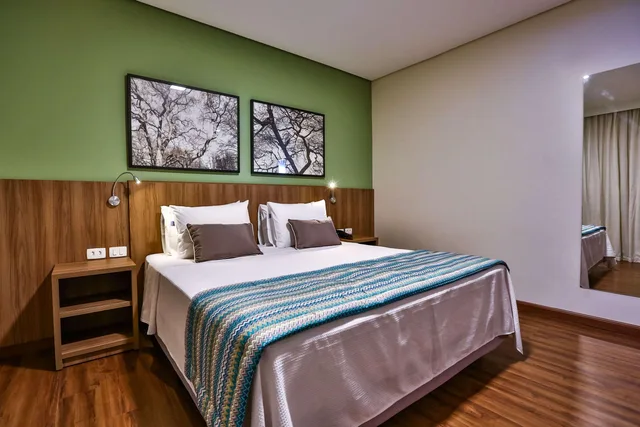 غرفة سوبيريور مفردة بسرير كوين لذوي الإعاقة، Comfort Hotel Mogi Guacu 1/4