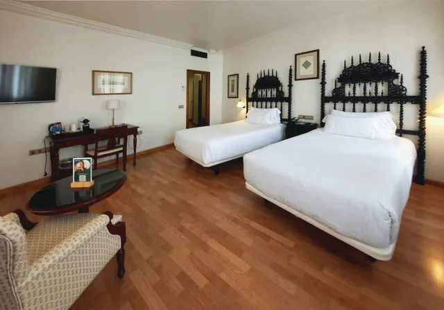 غرفة سوبيريور بسريرين منفصلين، Hotel Sercotel Palacio de Los Gamboa 2/3