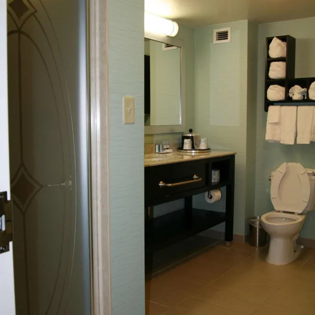 1 Bedroom, Garden, Suite, King Bed, Sofa, Bathtub، Hampton Inn Shreveport Airport La 2/3