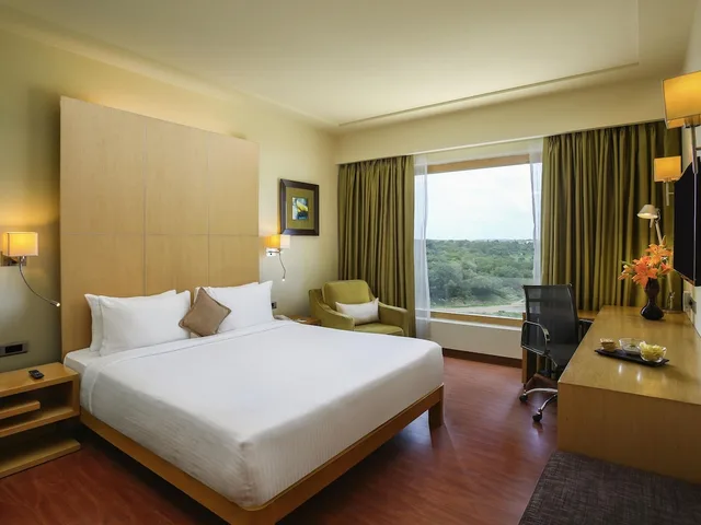 غرفة سوبيريور بسرير كينج، NOVOTEL HYDERABAD AIRPORT 5/7