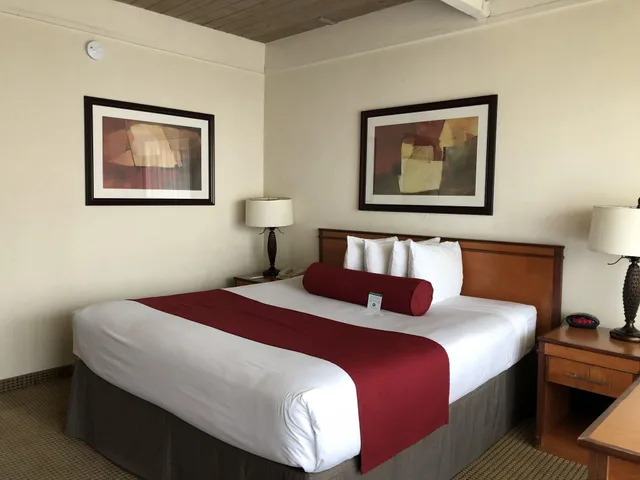 غرفة بسرير كينج، Mikado Hotel 1/2