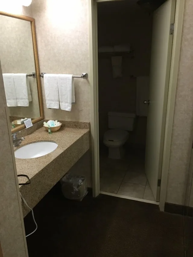 Standard, King Bed, Pool Side، Quality Inn and Suites Downtown University Area 3/3