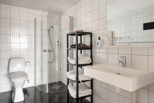 غرفة ديلوكس بسريرين منفصلين بشرفة مع أريكة، Quality Hotel Strand Gjovik 5/6