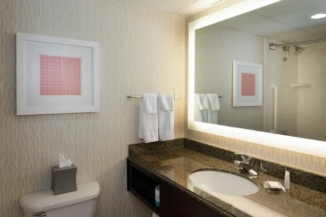 Guest Room, King Bed, High Floor, West Tower، Marriott St. Louis Airport 7/7