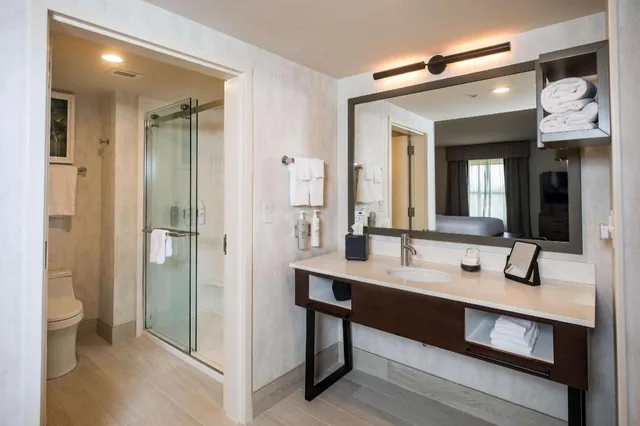 استوديو بسرير كينج مع أريكة لذوي الإعاقة، Hampton Inn Suites Dobson 5/6