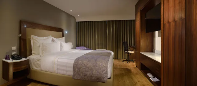 غرفة ديلوكس تنفيذية بسرير كينج، HS HOTSSON Hotel Silao 3/4
