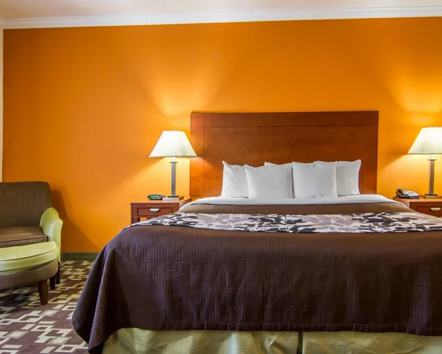 غرفة قياسية بسرير كينج، Sleep Inn Suites I 20 4/4