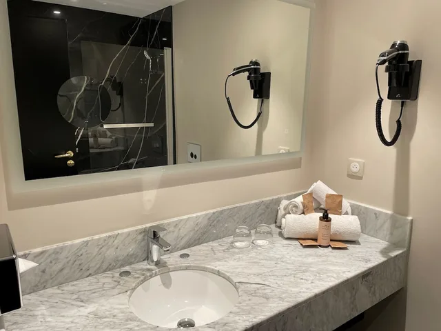غرفة سوبيريور بسرير مزدوج بإطلالة على المسبح، MERCURE ORLEANS CENTRE 4/9