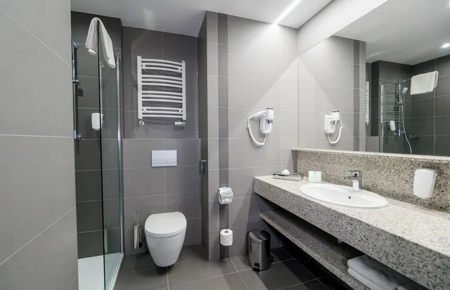 غرفة قياسية بسرير كوين، HOLIDAY INN DABROWA GORNICZA 2/6