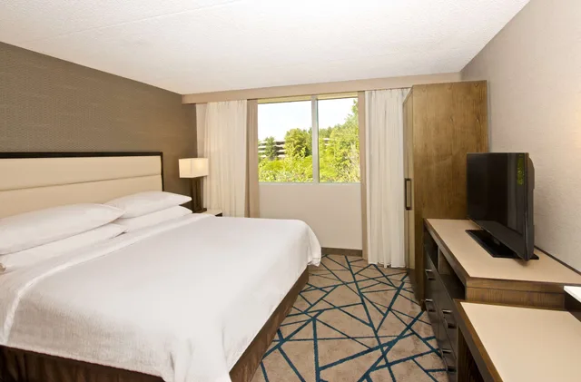 غرفة بسرير كينج بشرفة مع أريكة، Embassy Suites by Hilton Seattle Bellevue 2/6