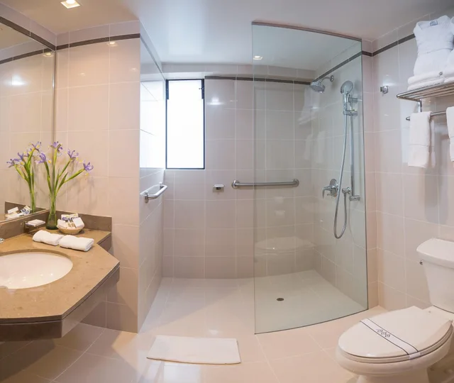 غرفة قياسية مفردة، Los Tallanes Hotel Suites 5/5